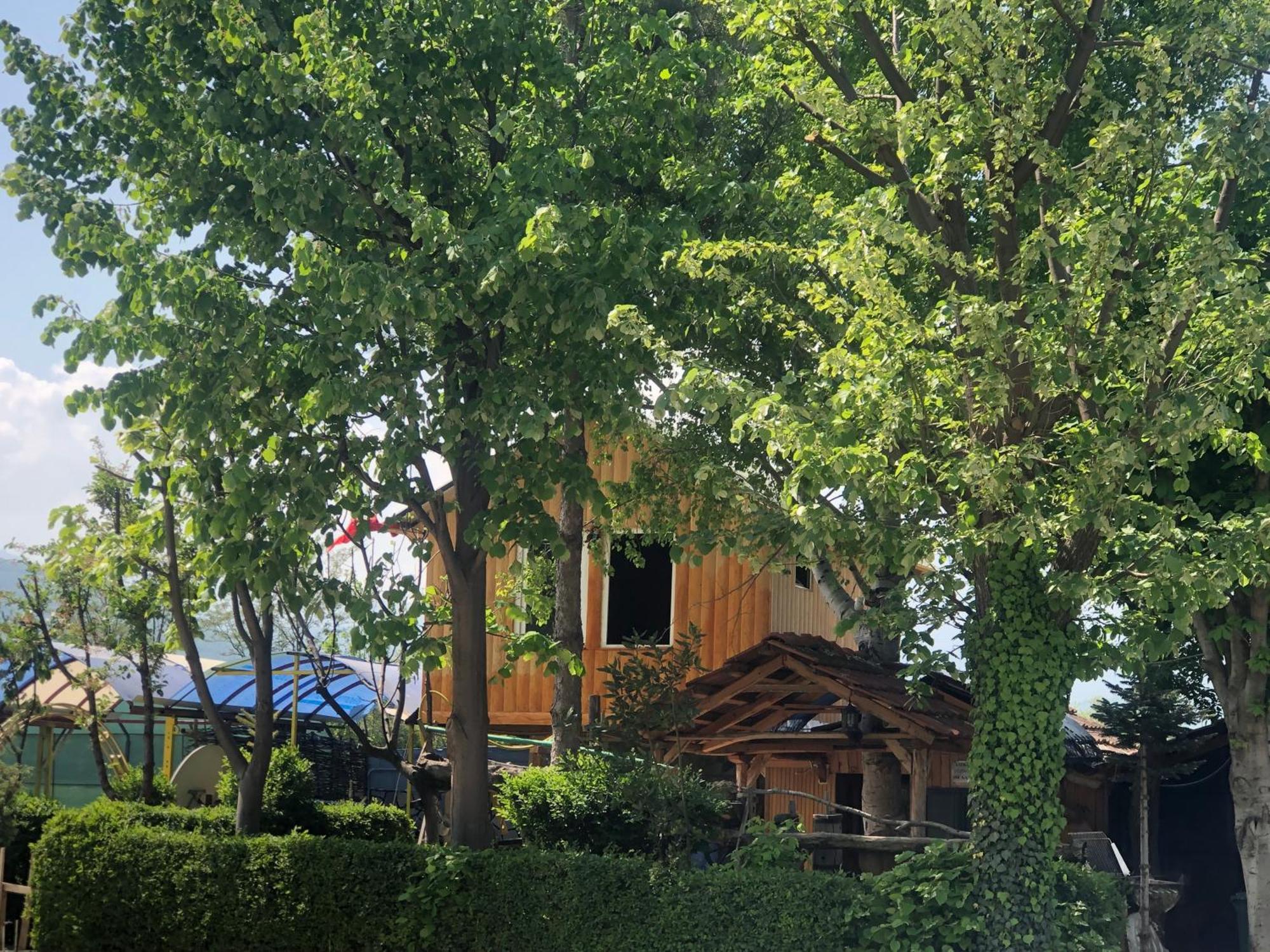 Bujtina Gashi Guest House Kukes 외부 사진