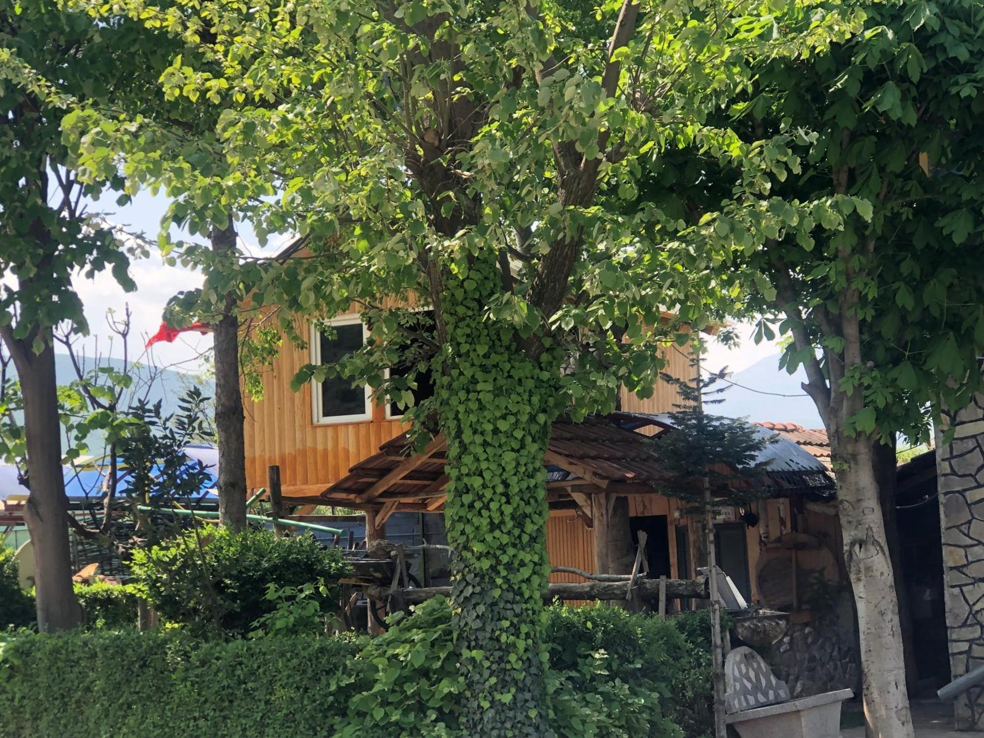 Bujtina Gashi Guest House Kukes 외부 사진