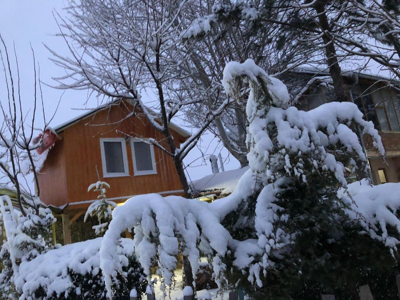 Bujtina Gashi Guest House Kukes 외부 사진